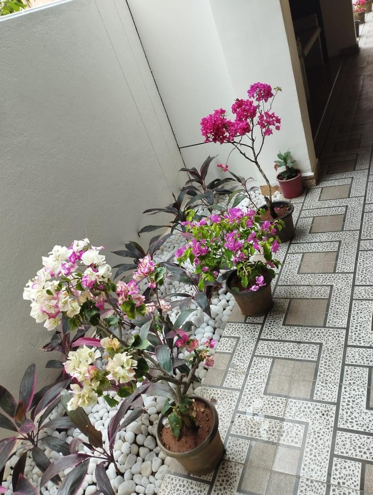 Annai Residency Hotel Vellore Ngoại thất bức ảnh